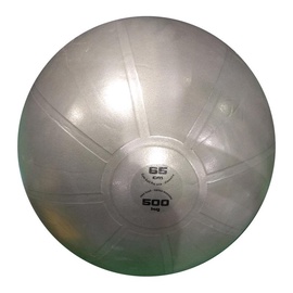 Гимнастический мяч Toorx PRO AHF148 10773125, серый, 65 см