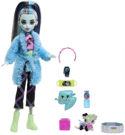 Lelle ar aksesuāriem Monster High Creepover Party Frankie Stein HKY68, 30 cm