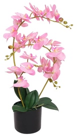 Mākslīgie ziedi puķu podā, orhideja VLX With Pot Orchid, rozā, 65 cm