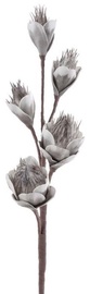 Mākslīgie ziedi Eurofirany Flore 737, sudraba, 74 cm