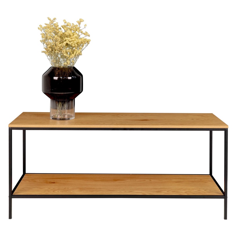 TV-laud House Nordic Vita, tamm, 100 cm x 36 cm x 45 cm