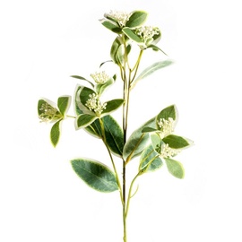 Искусственное растение Eurofirany Natu 307, зеленый, 60 см