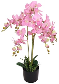 Mākslīgie ziedi puķu podā, orhideja VLX With Pot Orchid, rozā, 75 cm