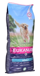 Sausā suņu barība Eukanuba Adult, jēra gaļa/rīsi, 12 kg