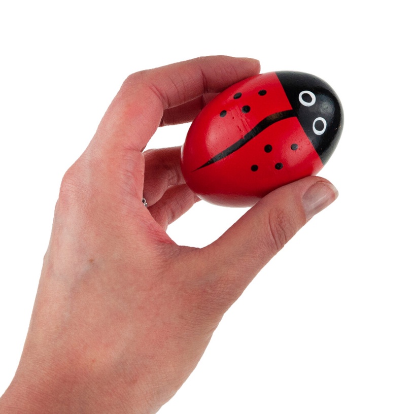 Puidust muusikariistade komplekt