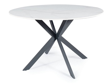 Pusdienu galds Talia, balta, 120 cm x 120 cm x 76 cm