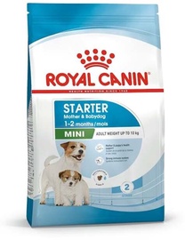 Sausā suņu barība Royal Canin Mini Starter Mother & Babydog, mājputnu gaļa, 4 kg
