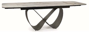 Обеденный стол c удлинением Infinity, коричневый/белый, 160 - 240 см x 95 см x 76 см