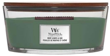 Свеча ароматическая WoodWick Mint Leaves & Oak Elipsa, 40 час, 453.6 г, 121 мм x 92 мм