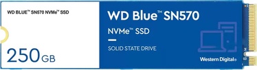 Kietasis diskas (SSD) Western Digital Blue SN570, M.2, 250 GB