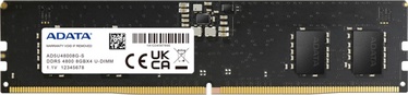 Operatyvioji atmintis (RAM) Adata AD5U48008G-S, DDR5, 8 GB, 4800 MHz