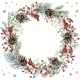 Pabersalvrätikud Daisy, 330 mm x 330 mm, mitmevärviline, 20 tk