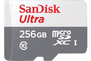 Atmiņas karte SanDisk SDSQUNR, 256 GB