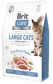 Sausā kaķu barība Brit Grain-Free Power & Vitality, vistas gaļa/pīles gaļa, 0.400 kg