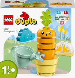 Konstruktorius LEGO Duplo Auganti morka 10981