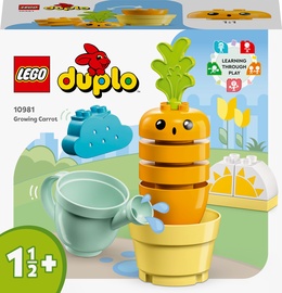 Konstruktors LEGO Duplo Augošais burkāns 10981