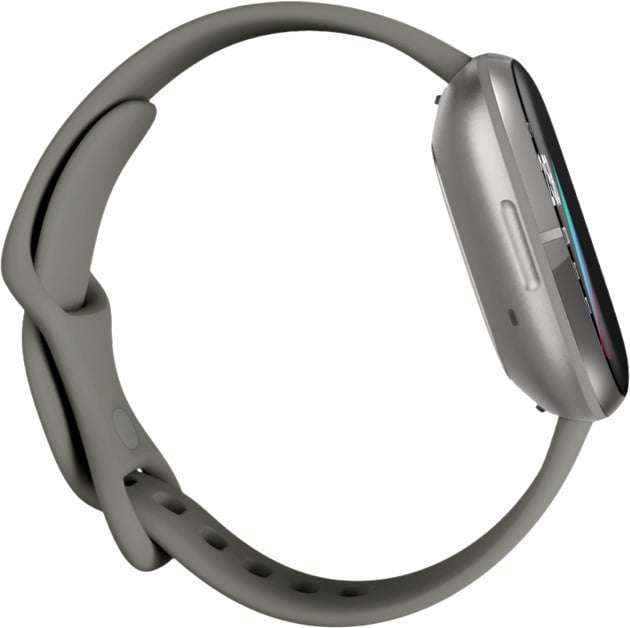Умные часы Fitbit Sense, серебристый/серый