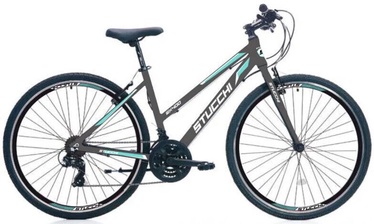 Velosipēds Stucchi MTB Lady 1WX400G, sievietēm, zaļa/pelēka, 28" (bojāts iepakojums)