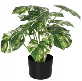 Mākslīgais augs podiņā, monstera Splendid, zaļa, 4.5 cm