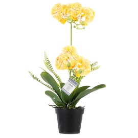 Kunstlilled vaasis, orhidee AmeliaHome Ochi Honey, kollane/roheline, 600 mm