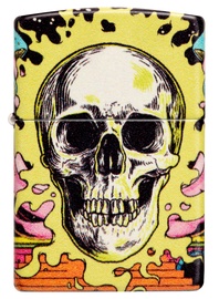 Зажигалка Zippo Skull Design 48640, многоцветный