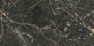 Плитка, каменная масса Cersanit Black Gold NT1343-003-1, 119.8 см x 59.8 см, черный