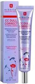 CC kreem Erborian Dull Correct SPF 25, 45 ml
