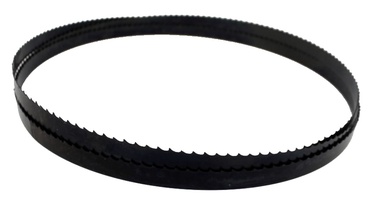 Lentes kokzāģa lente Scheppach 1790X10X0.35MM/6TPI, 1790 mm