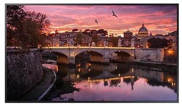 Monitors Samsung LH65QBRBBGCXEN, 65", 8 ms