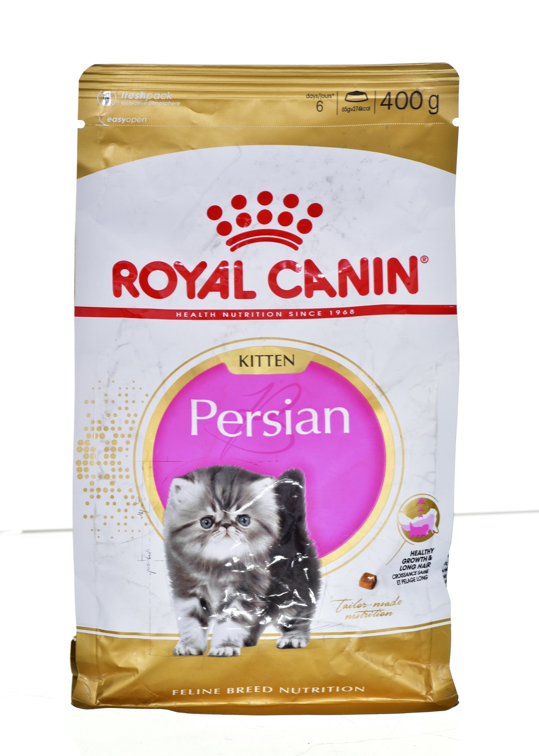 kitten persian royal canin