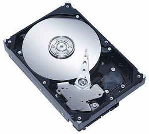 Kietasis diskas (HDD) CoreParts AHDD012, 3.5", 250 GB