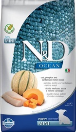 Sausā suņu barība Farmina N&D Ocean, menca, 2.5 kg