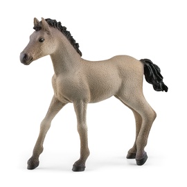 Rotaļlietu figūriņa Schleich Criollo Definitivo Foal 13949, 8.3 cm