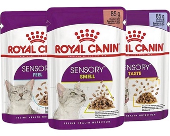 Kassi märgtoit Royal Canin FHN WET Sensory Multipack Gravy, 12 x 85 g