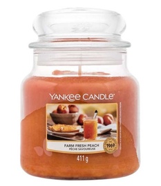 Svece, aromātiskā Yankee Candle Farm Fresh Peach, 65 - 75 h, 411 g, 130 mm x 110 mm