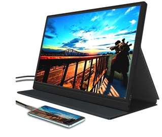 Монитор Denver PMO-15601, 15.6″, 5 ms