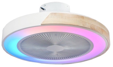 Lampa ar ventilatoru CristalRecord Corpi, 35 W, 1 gab.