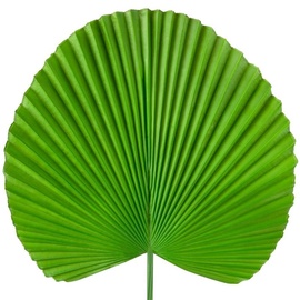 Искусственное растение Eurofirany, зеленый, 83 см