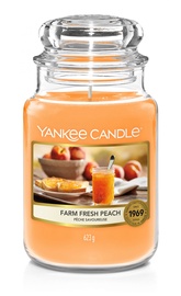 Svece Yankee Candle Large Jar Farm Fresh Peach, 110 - 150 h