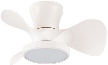 Laeventilaator koos lambiga CristalRecord Moll CCT, 20 W, 1 tk
