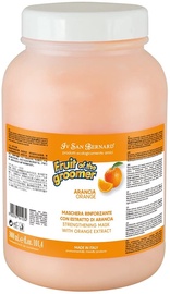 Mask Iv San Bernard Fruit Of The Groomer Orange NMASAR3000, 3 l