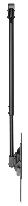 Полка Stell Accessories SHO 3900, 40-70″, 50 кг