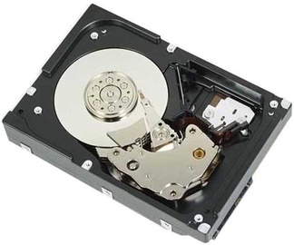 Kõvaketas (HDD) Dell 400-BGEB, 1 TB