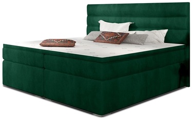 Кровать полтора места континентальная Softy Kronos 19, 140 x 200 cm, зеленый, с матрасом