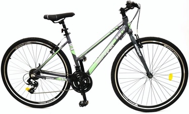 Velosipēds kalnu Whisper WX400, 28 ", 18" rāmis, zaļa/pelēka