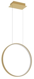 Lampa karināms Thoro Lighting Rio 55, 30 W, LED, 4000 °K