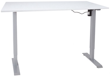 Rašomasis stalas reguliuojamo aukščio Home4you Ergo 1-Motor, baltas/pilkas