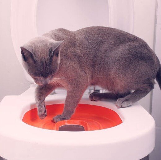 Средство для ухода за кошками treniravimosi tualetas, 1.3 кг