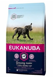 Sausā suņu barība Eukanuba Chicken, vistas gaļa, 2 kg