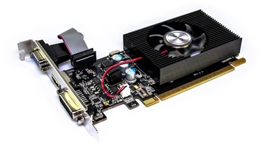 Vaizdo plokštė Afox GeForce GT 610 AF610-1024D3L7-V5, 1 GB, GDDR3
